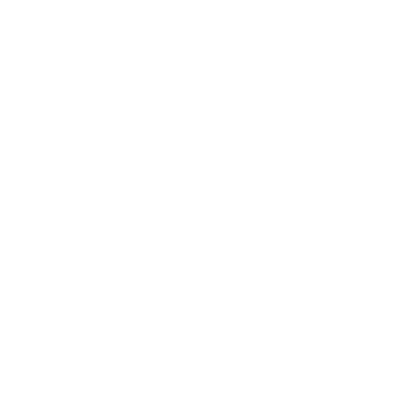 Personal Solution Icon